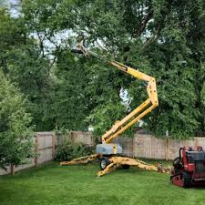 Best Tree Removal  in Claremont, NH